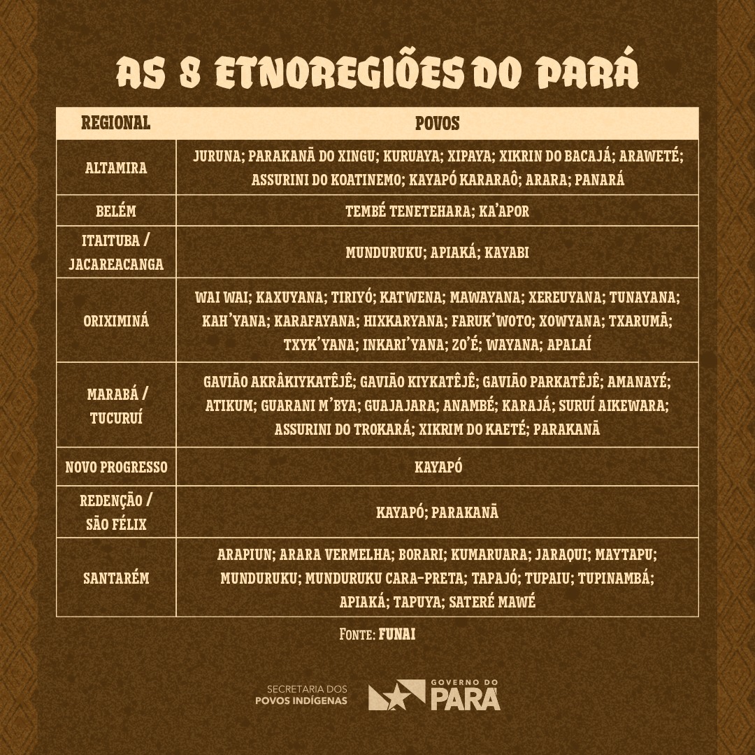 etnoregiões do pará