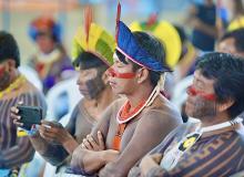 São Félix do Xingu