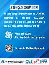 https://sispatriportal.pa.gov.br/